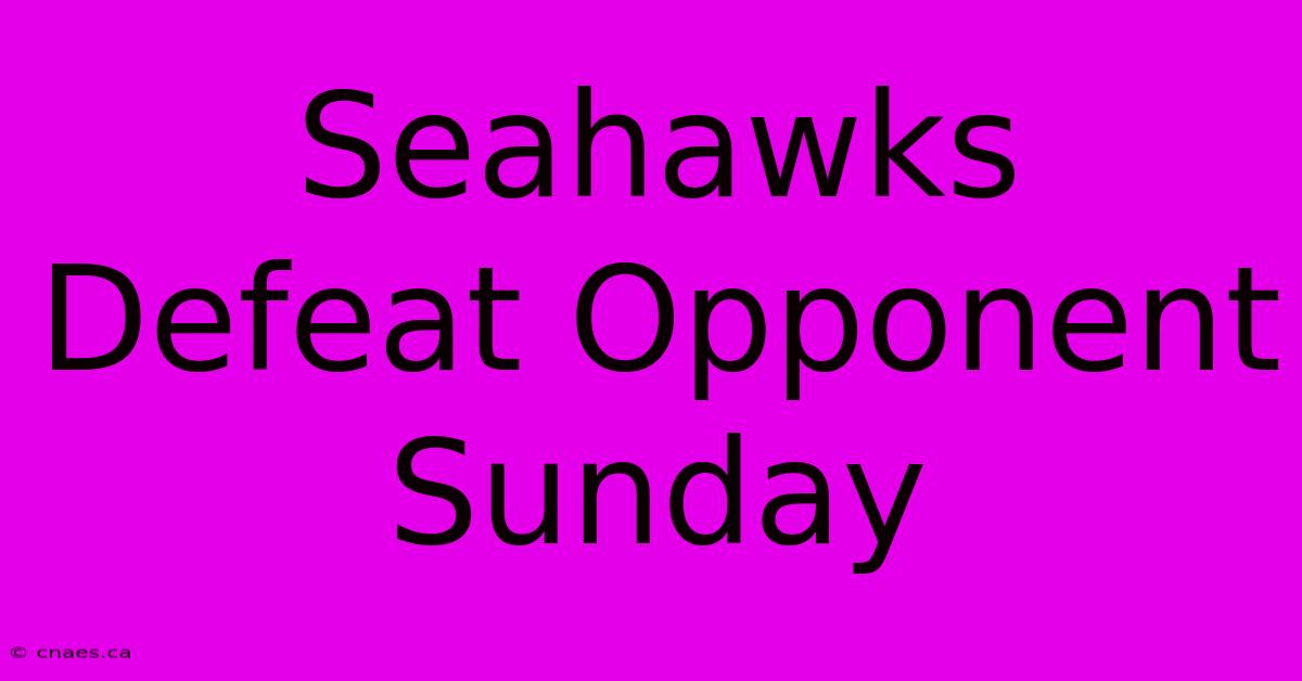 Seahawks Defeat Opponent Sunday