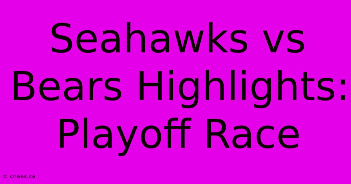 Seahawks Vs Bears Highlights: Playoff Race