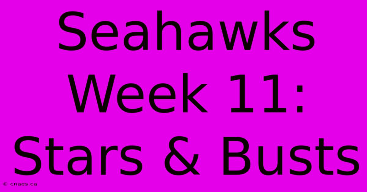 Seahawks Week 11: Stars & Busts