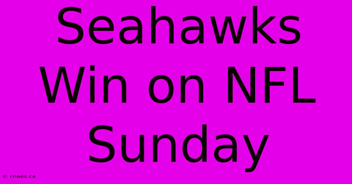 Seahawks Win On NFL Sunday