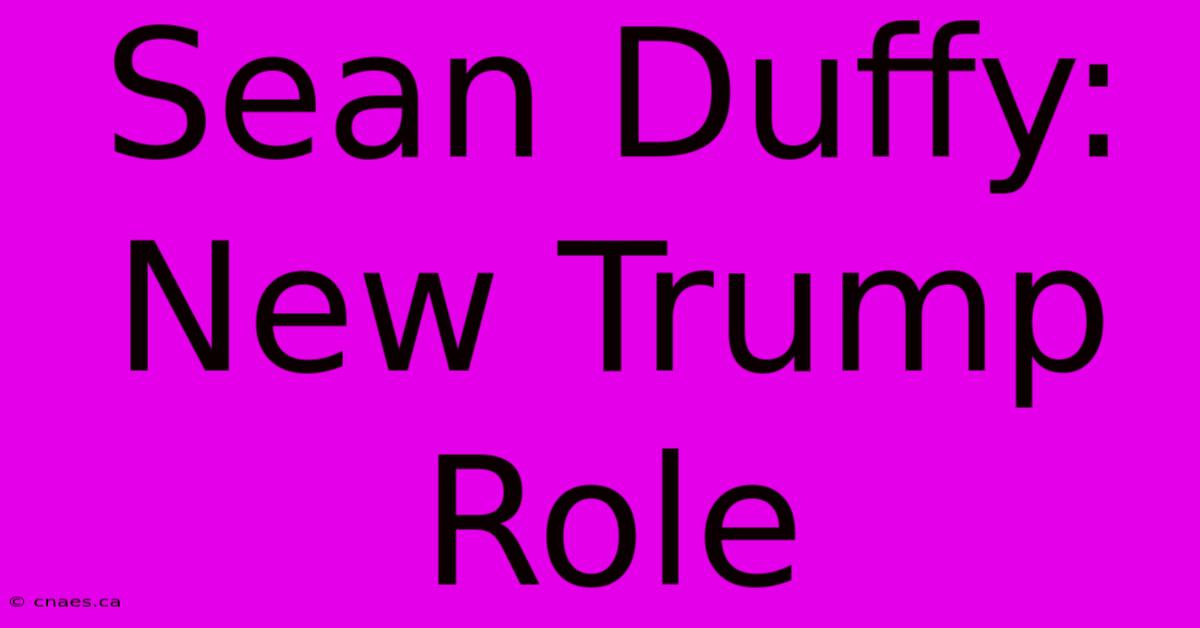 Sean Duffy: New Trump Role