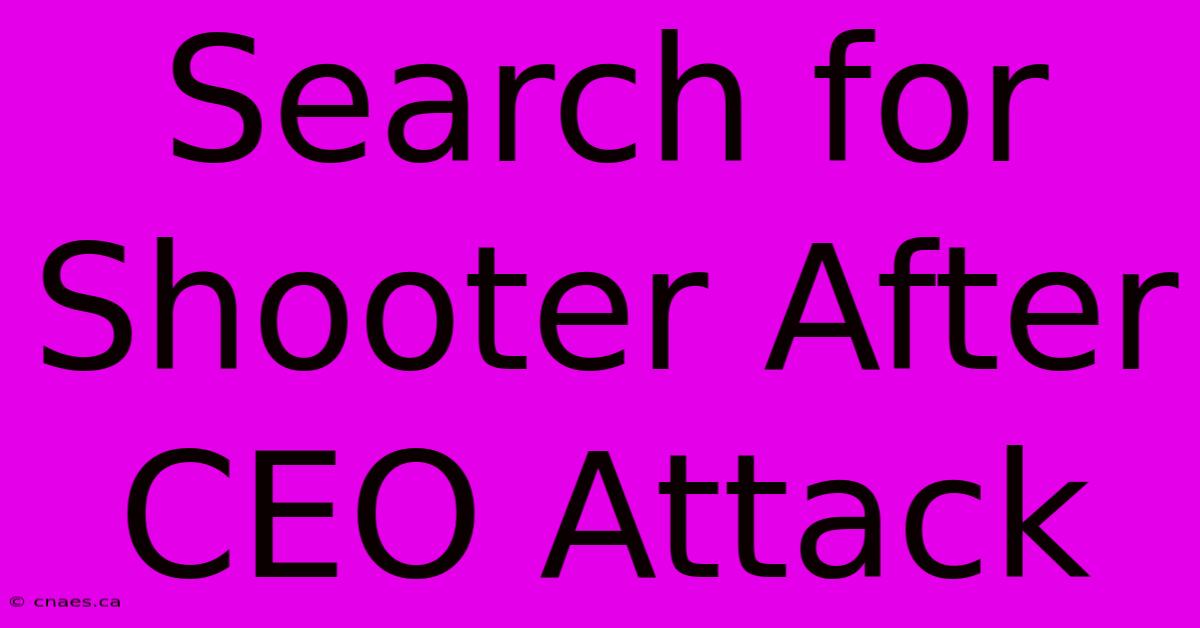 Search For Shooter After CEO Attack