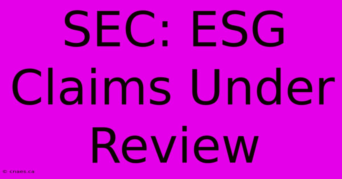 SEC: ESG Claims Under Review