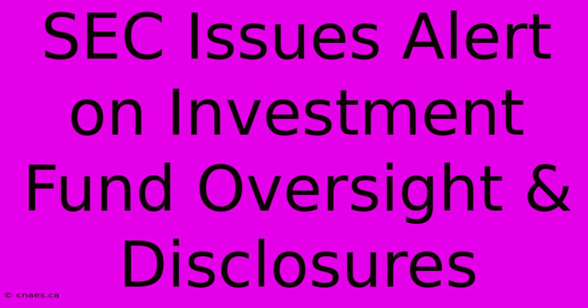 SEC Issues Alert On Investment Fund Oversight & Disclosures