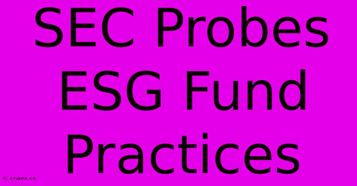 SEC Probes ESG Fund Practices