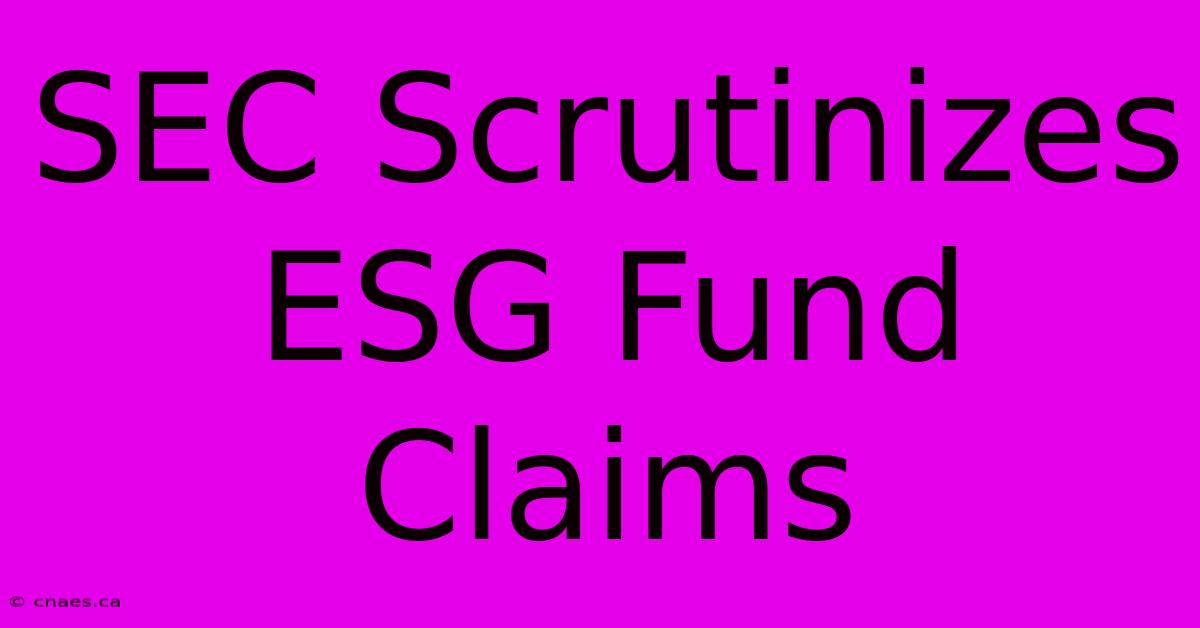 SEC Scrutinizes ESG Fund Claims