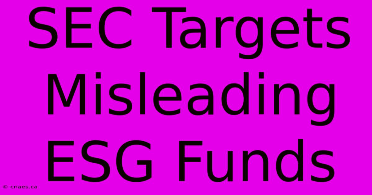 SEC Targets Misleading ESG Funds