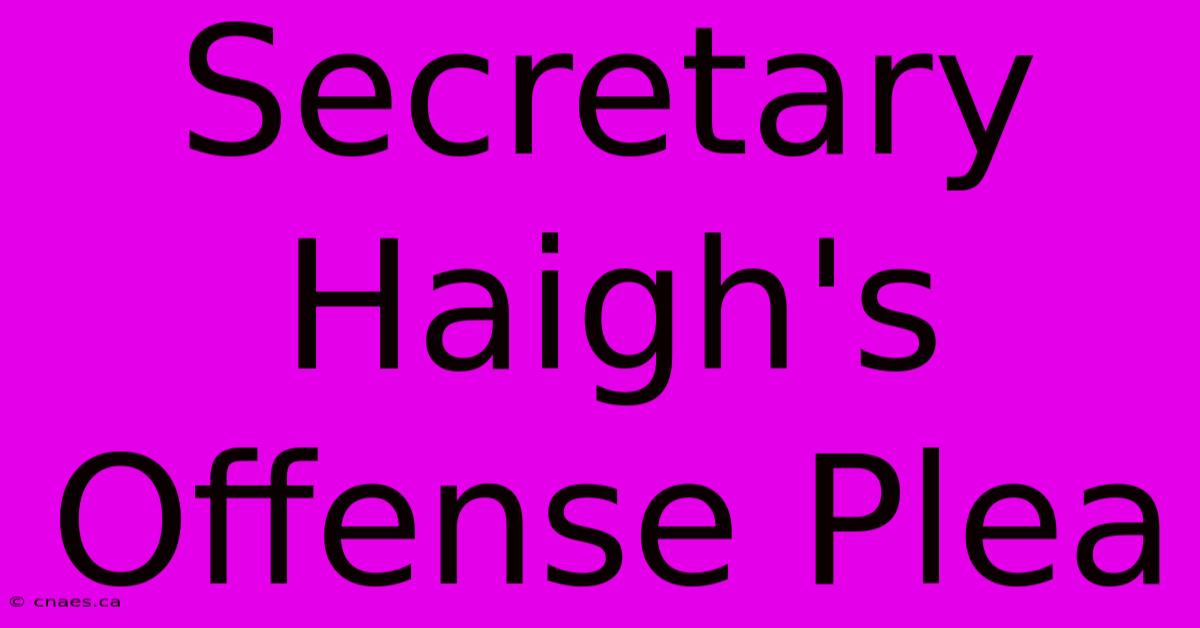 Secretary Haigh's Offense Plea