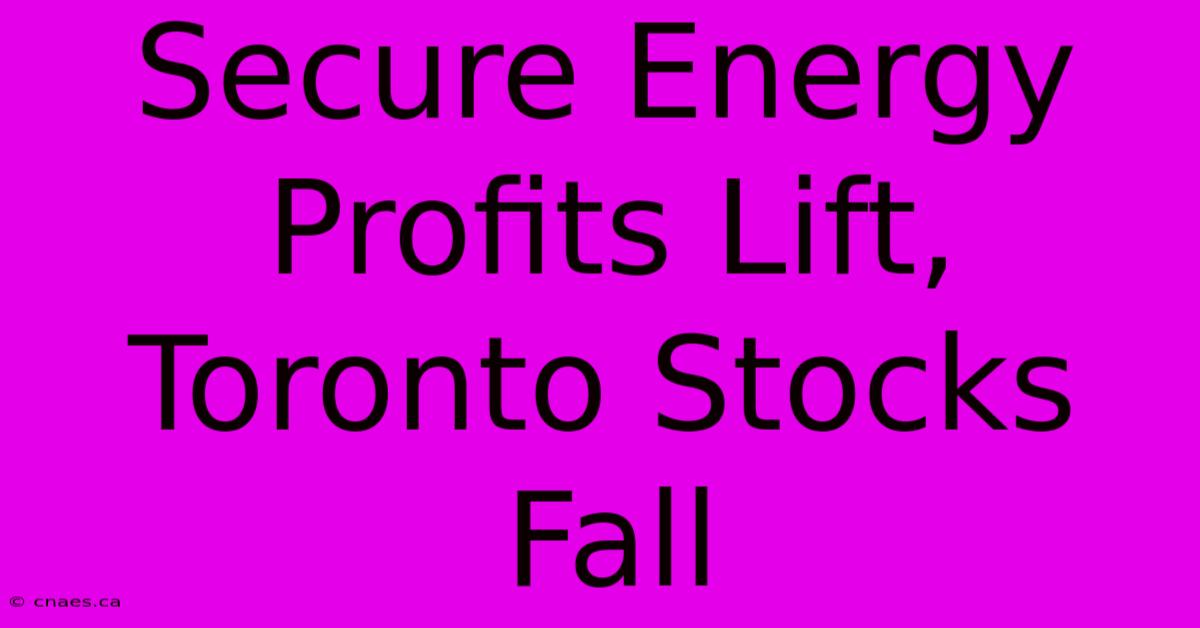 Secure Energy Profits Lift, Toronto Stocks Fall 