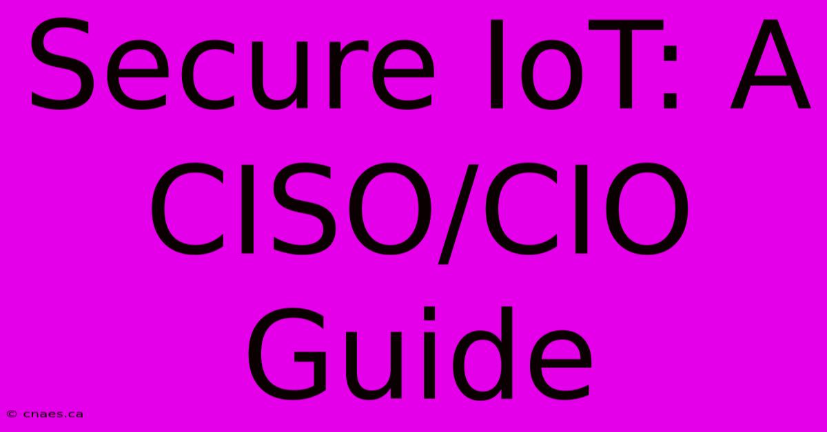 Secure IoT: A CISO/CIO Guide