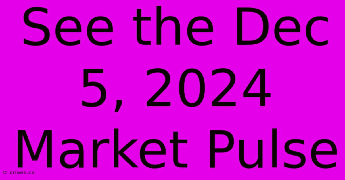 See The Dec 5, 2024 Market Pulse