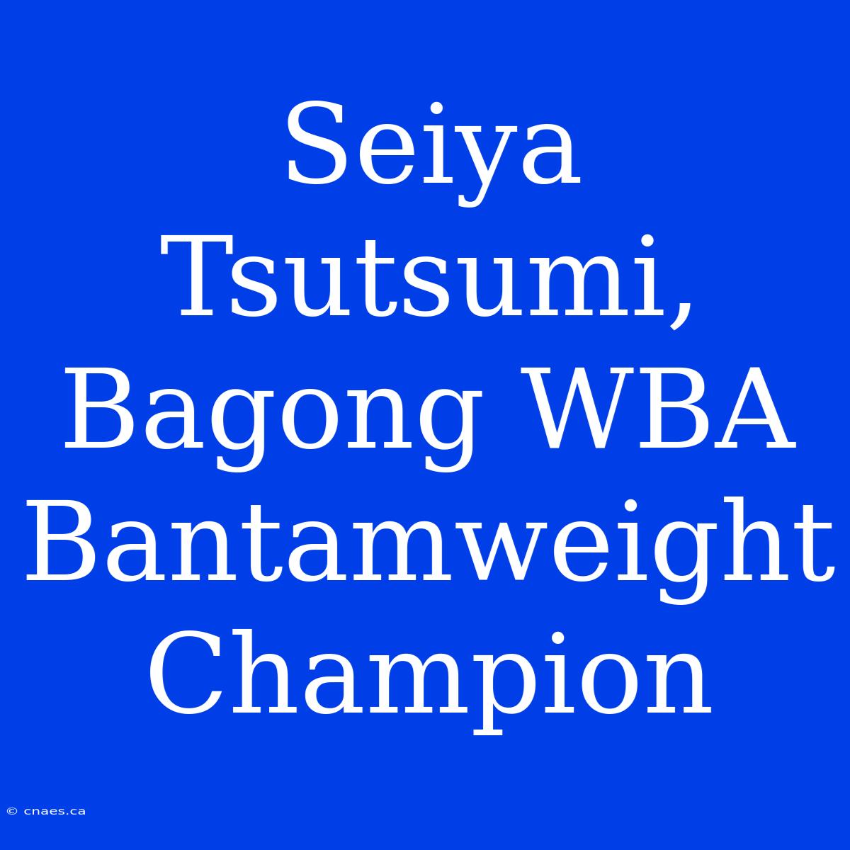 Seiya Tsutsumi, Bagong WBA Bantamweight Champion