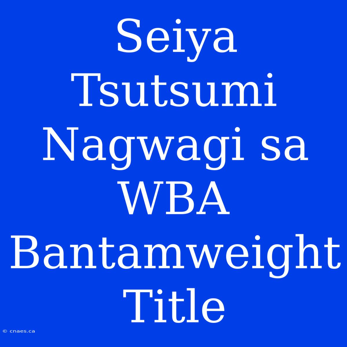 Seiya Tsutsumi Nagwagi Sa WBA Bantamweight Title