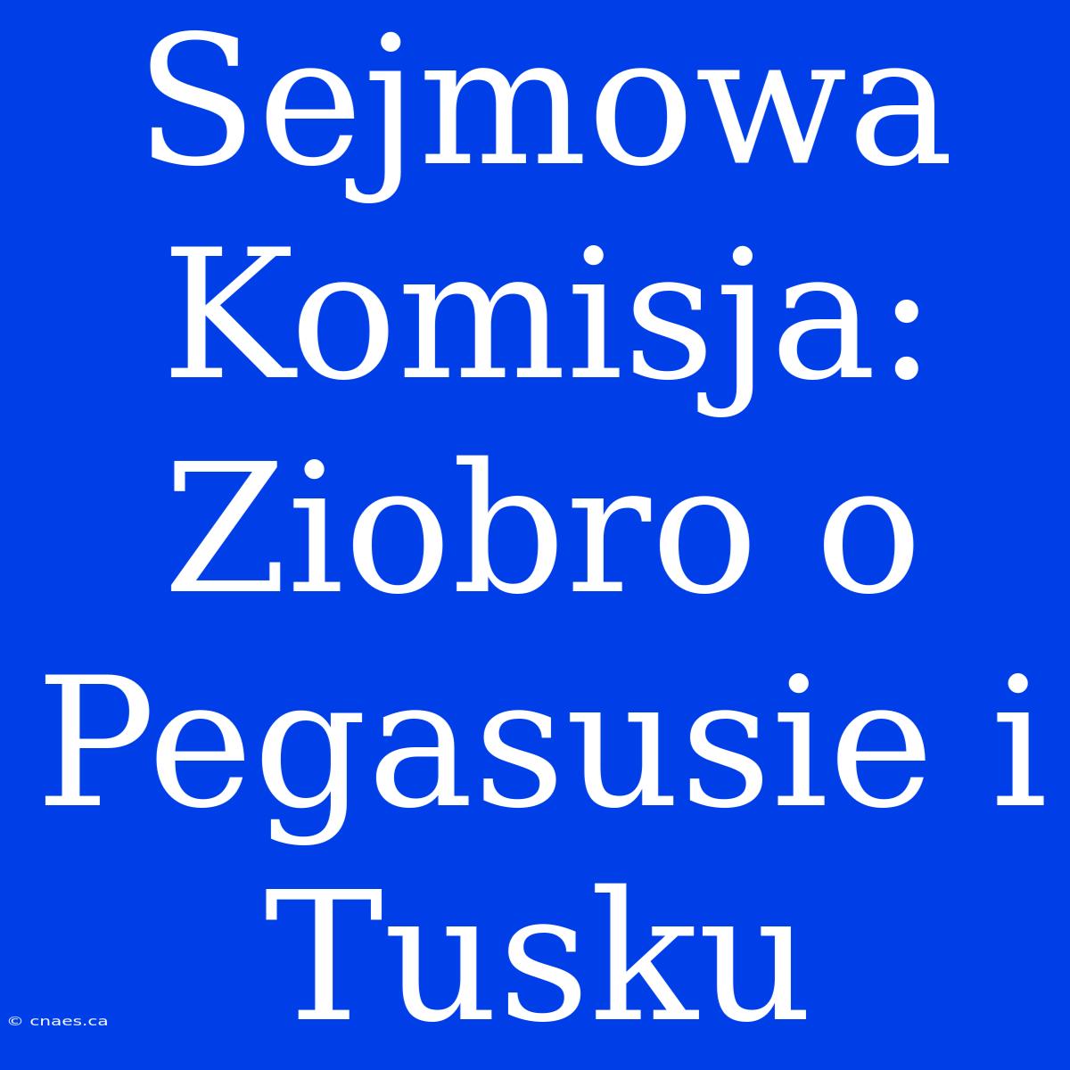 Sejmowa Komisja: Ziobro O Pegasusie I Tusku