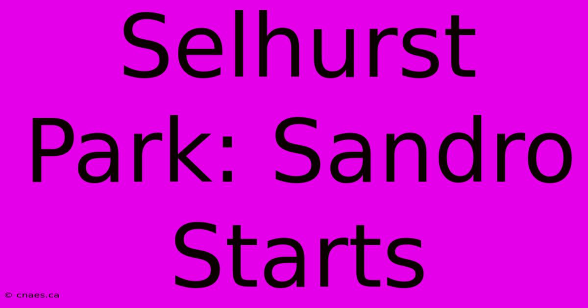 Selhurst Park: Sandro Starts