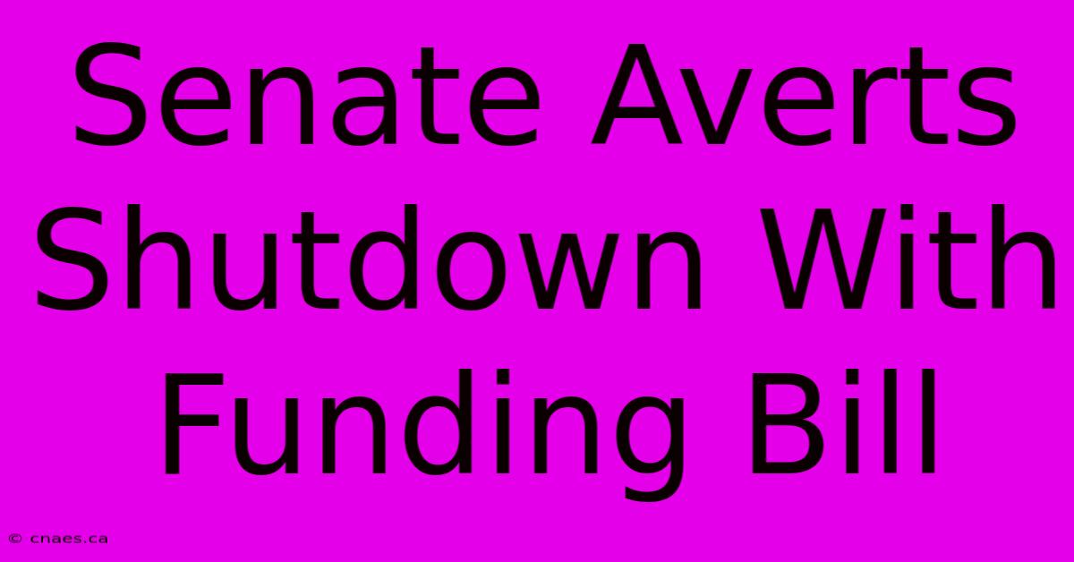 Senate Averts Shutdown With Funding Bill