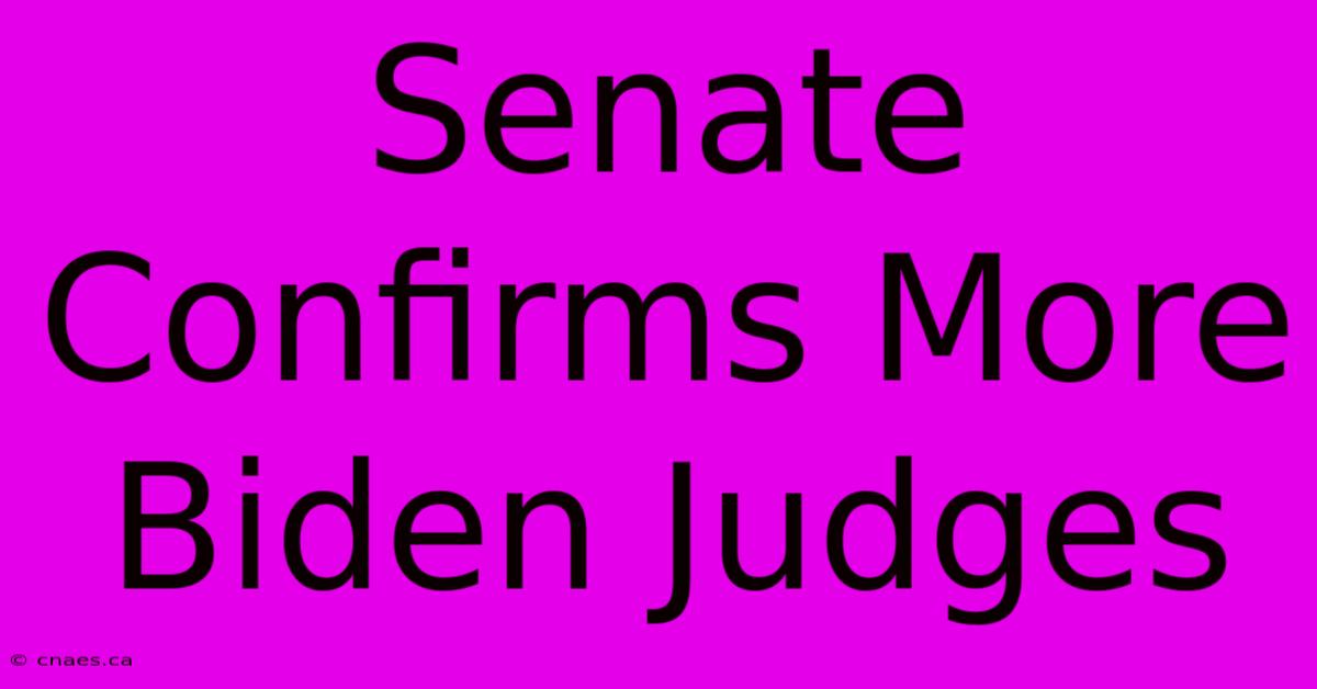 Senate Confirms More Biden Judges