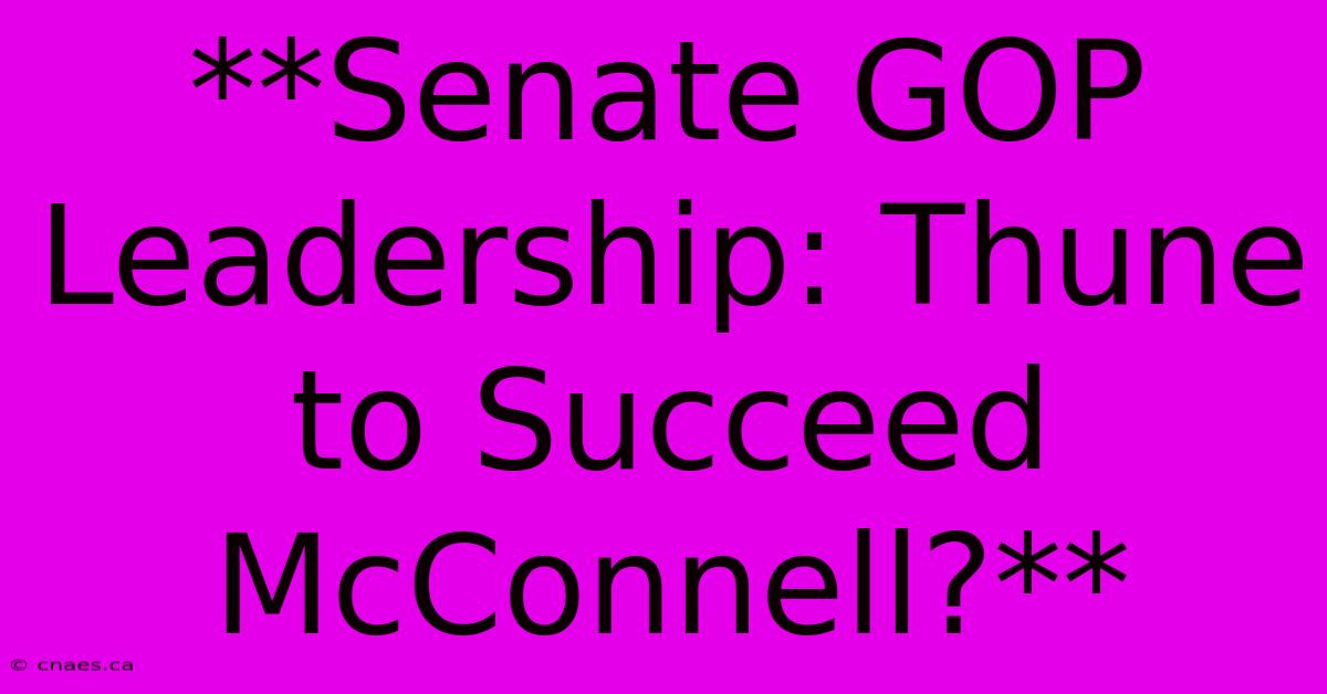 **Senate GOP Leadership: Thune To Succeed McConnell?** 