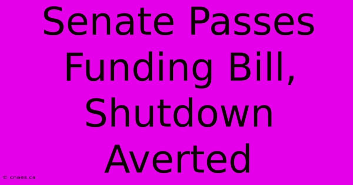 Senate Passes Funding Bill, Shutdown Averted