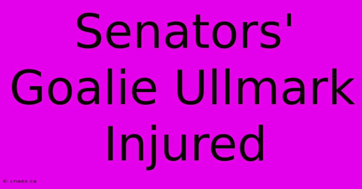 Senators' Goalie Ullmark Injured