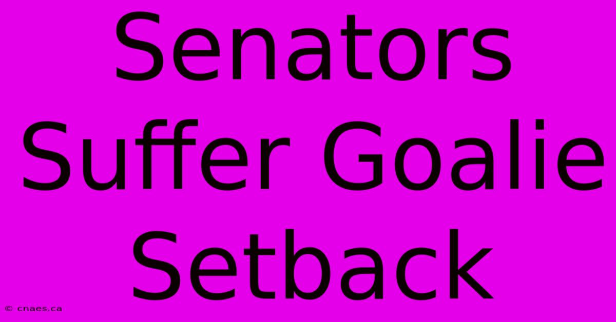 Senators Suffer Goalie Setback