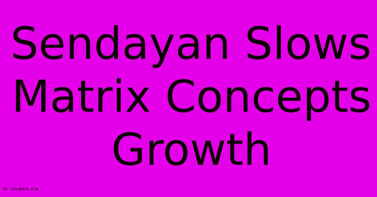 Sendayan Slows Matrix Concepts Growth