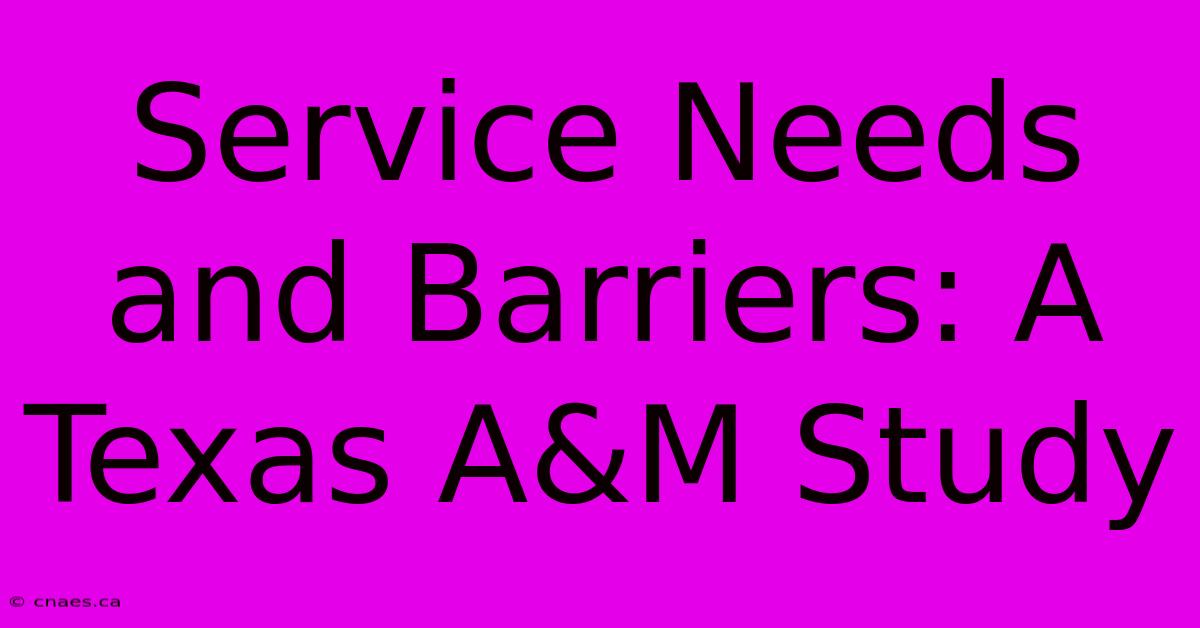 Service Needs And Barriers: A Texas A&M Study