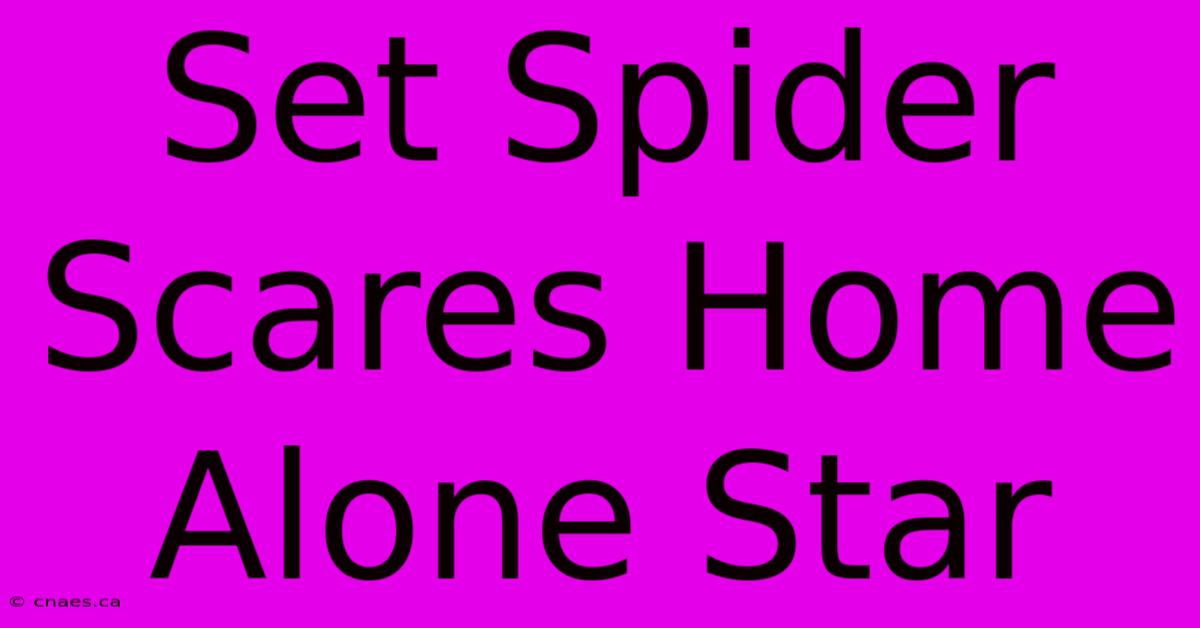 Set Spider Scares Home Alone Star