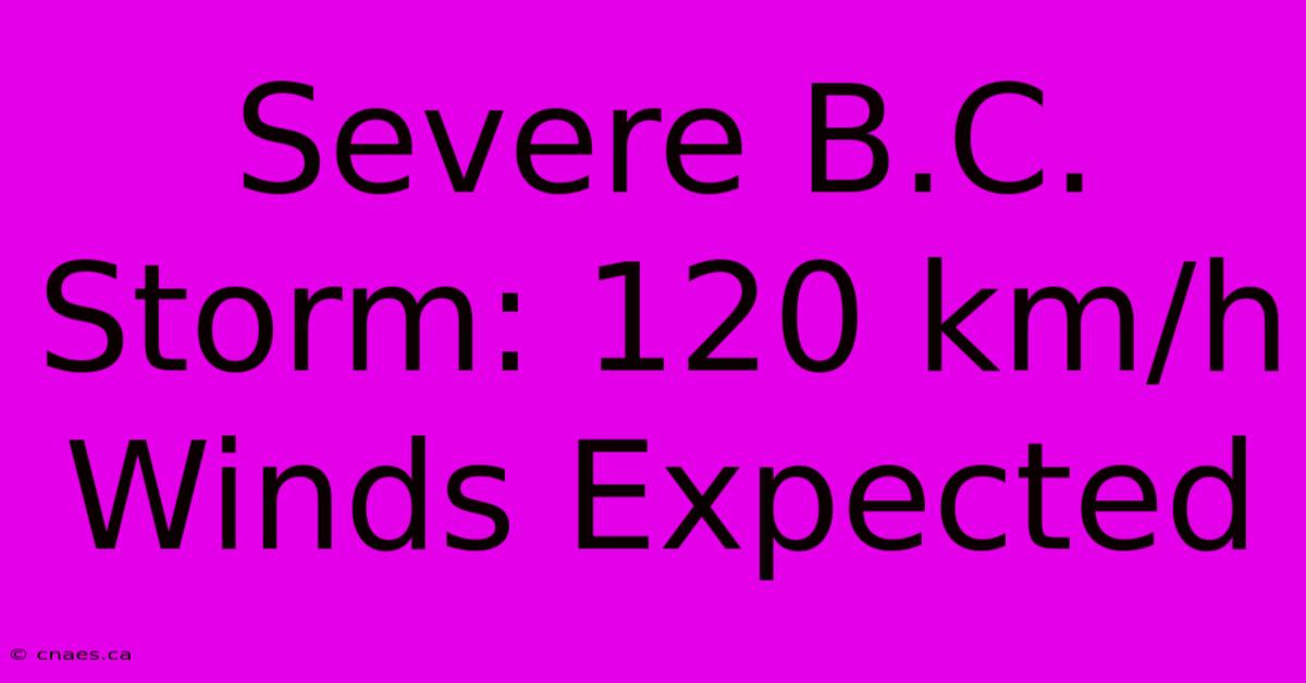 Severe B.C. Storm: 120 Km/h Winds Expected