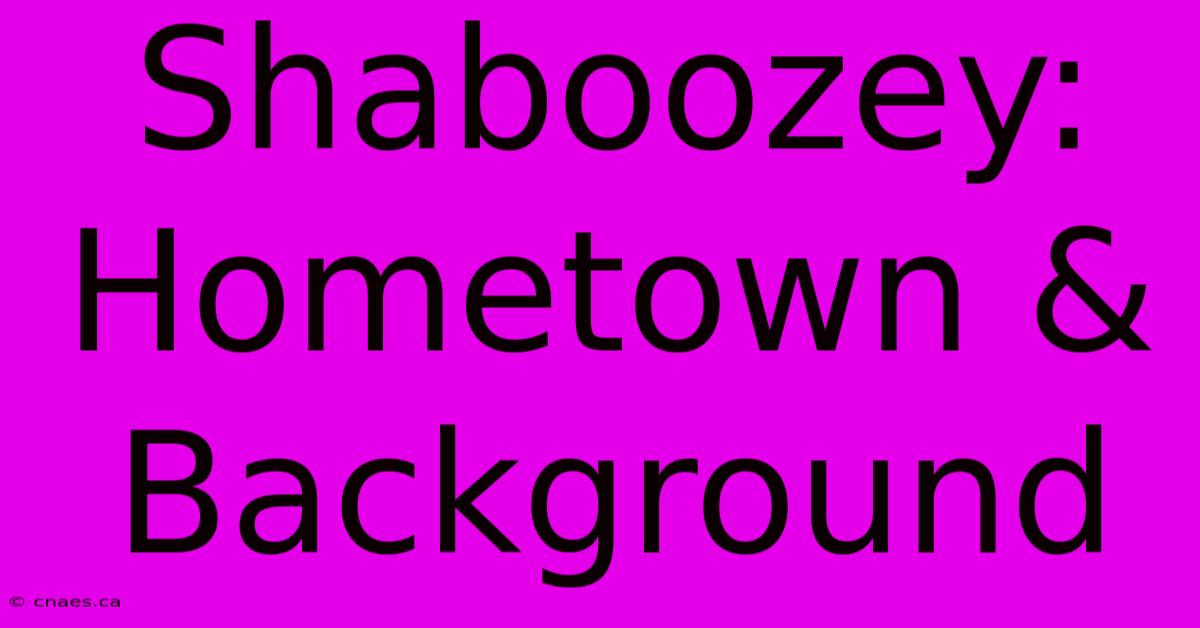 Shaboozey: Hometown & Background