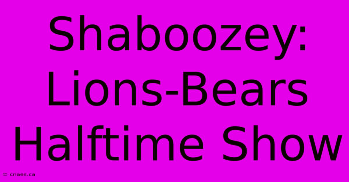 Shaboozey: Lions-Bears Halftime Show