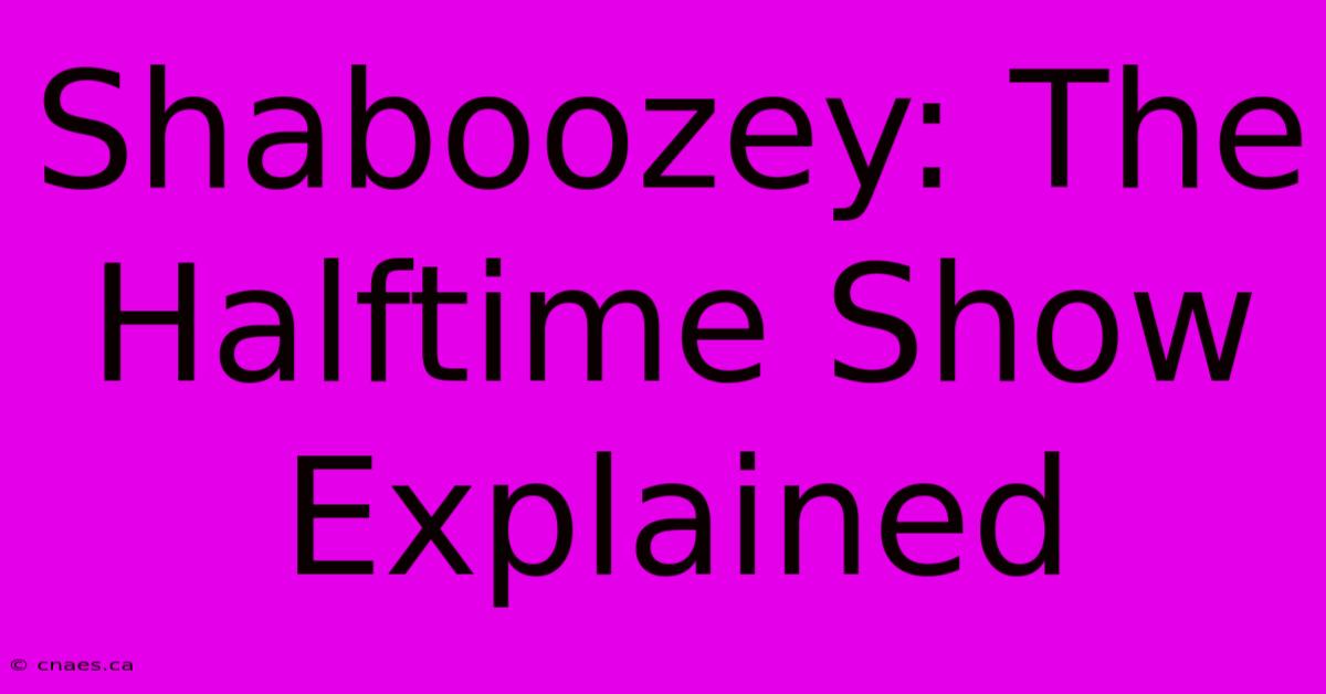 Shaboozey: The Halftime Show Explained