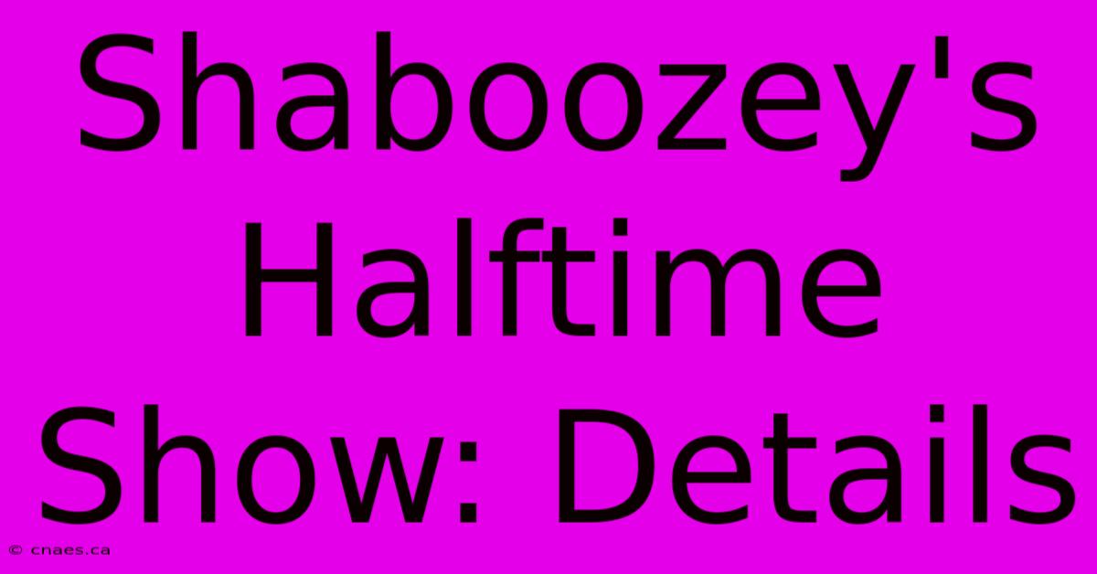 Shaboozey's Halftime Show: Details