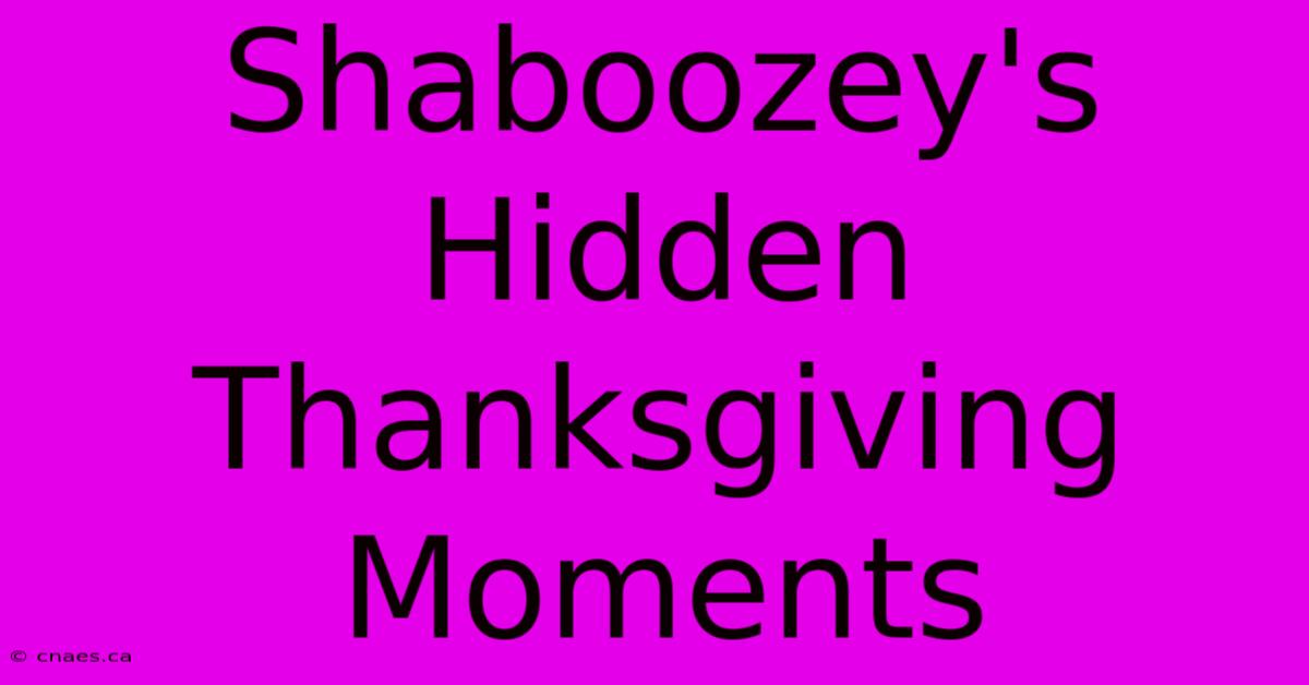 Shaboozey's Hidden Thanksgiving Moments