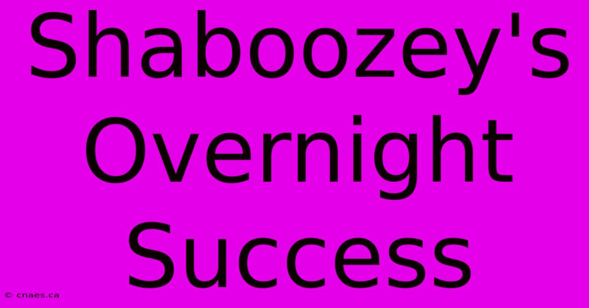 Shaboozey's Overnight Success