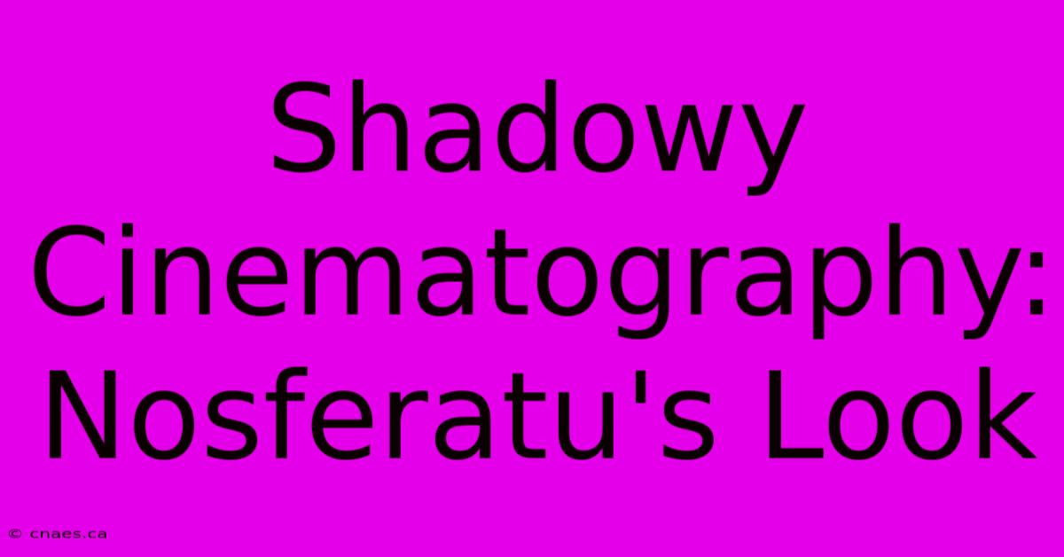 Shadowy Cinematography: Nosferatu's Look