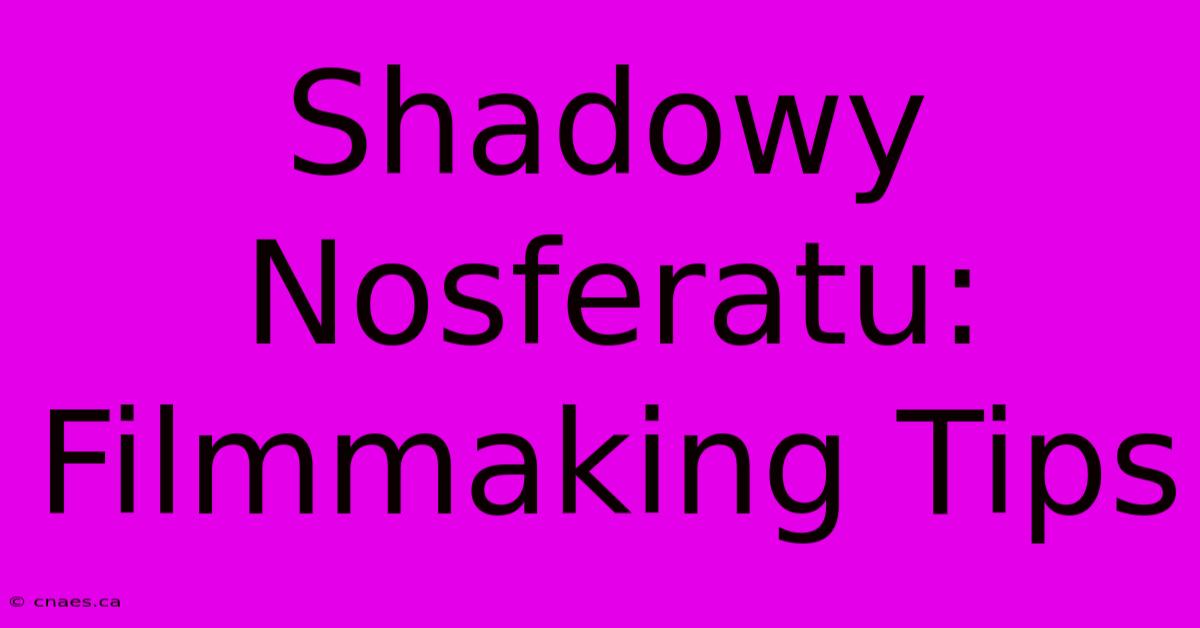 Shadowy Nosferatu: Filmmaking Tips