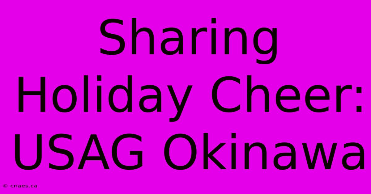 Sharing Holiday Cheer: USAG Okinawa