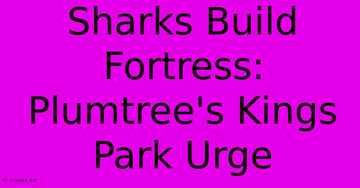 Sharks Build Fortress: Plumtree's Kings Park Urge