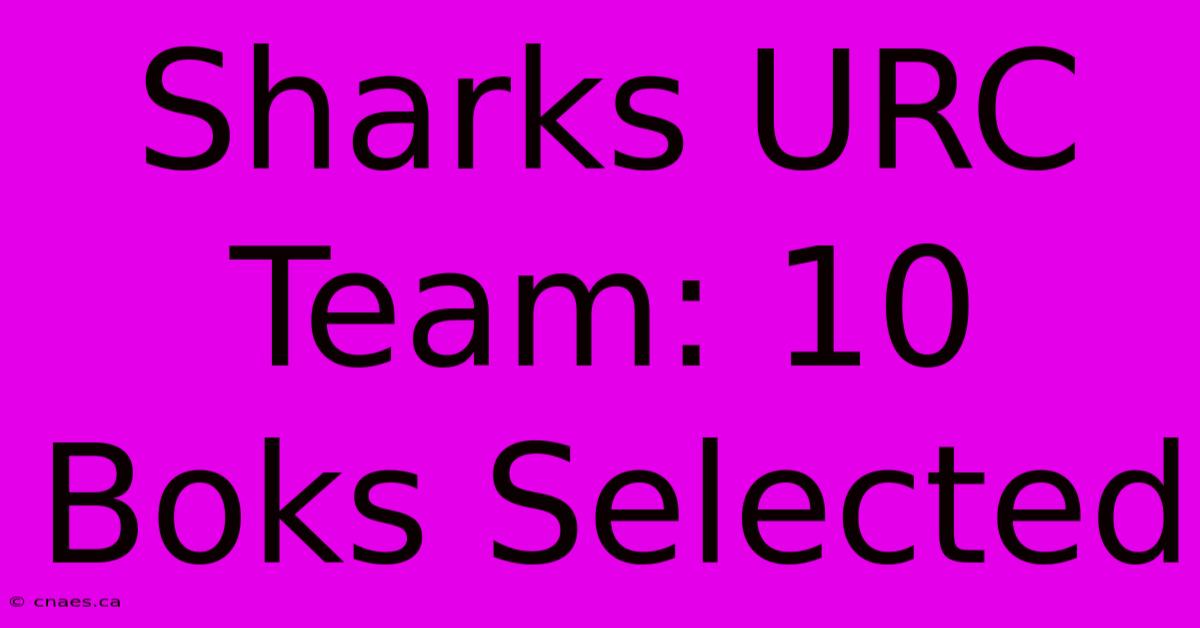 Sharks URC Team: 10 Boks Selected