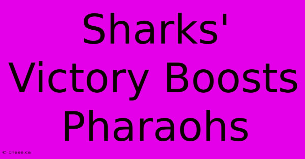 Sharks' Victory Boosts Pharaohs