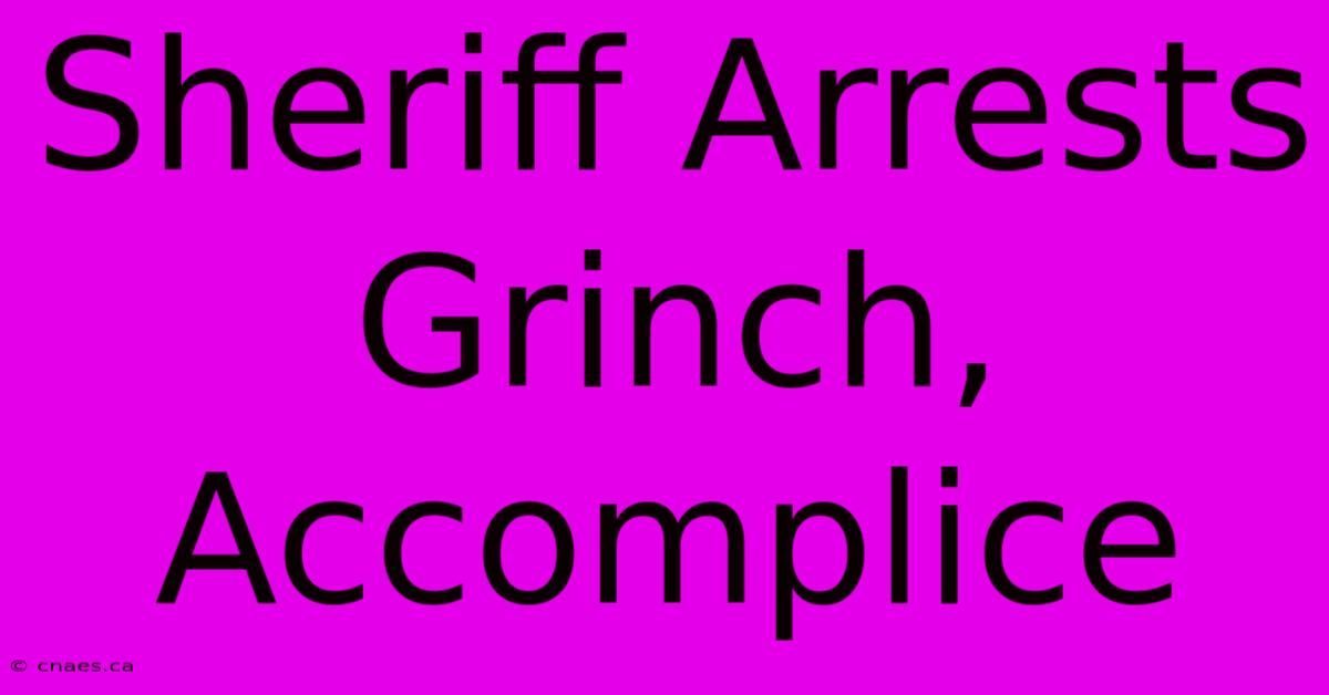 Sheriff Arrests Grinch, Accomplice