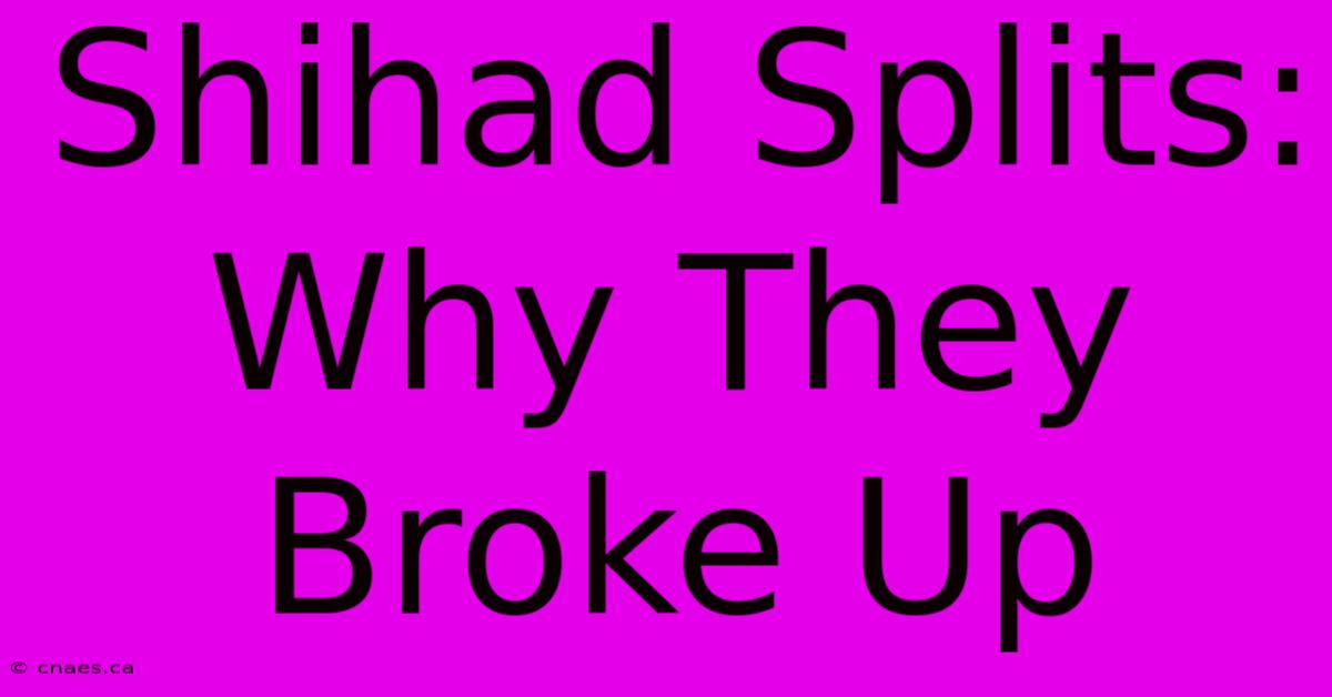 Shihad Splits: Why They Broke Up