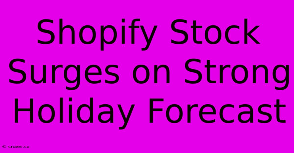 Shopify Stock Surges On Strong Holiday Forecast