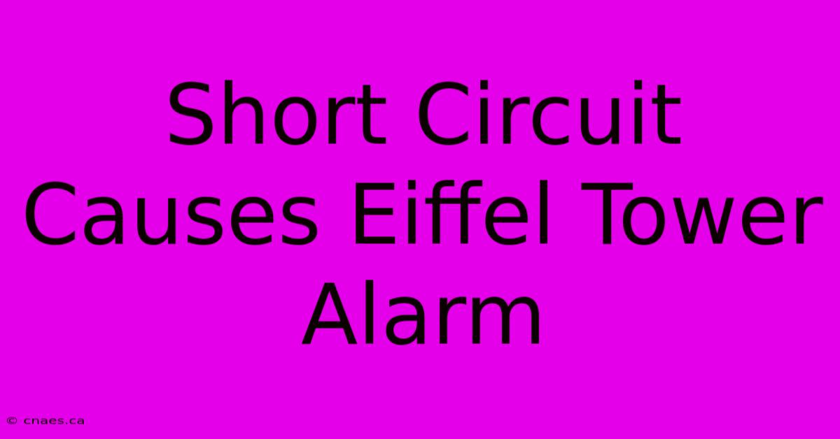 Short Circuit Causes Eiffel Tower Alarm