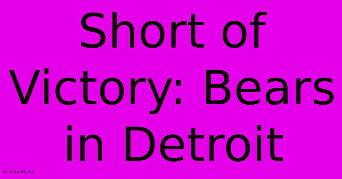 Short Of Victory: Bears In Detroit