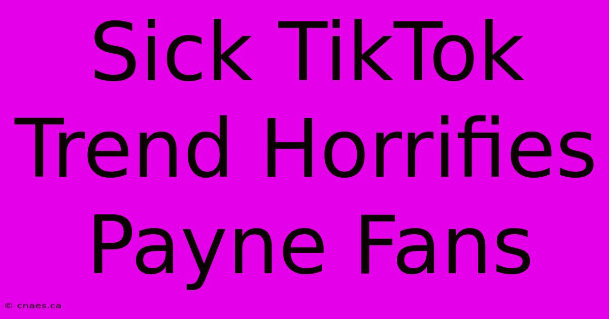 Sick TikTok Trend Horrifies Payne Fans