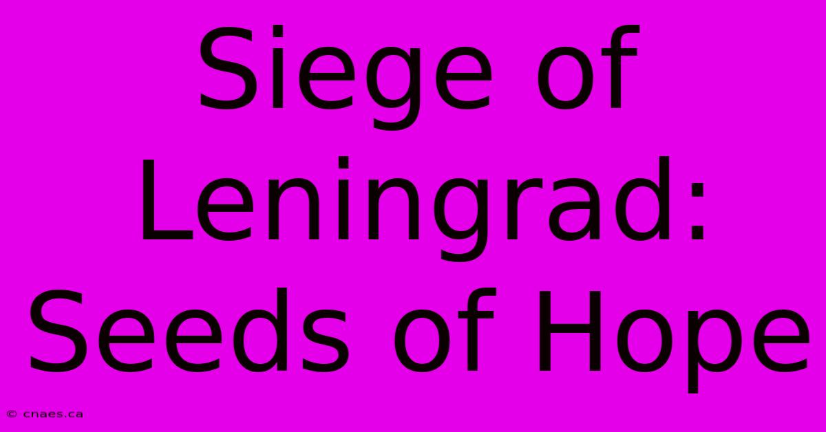 Siege Of Leningrad: Seeds Of Hope