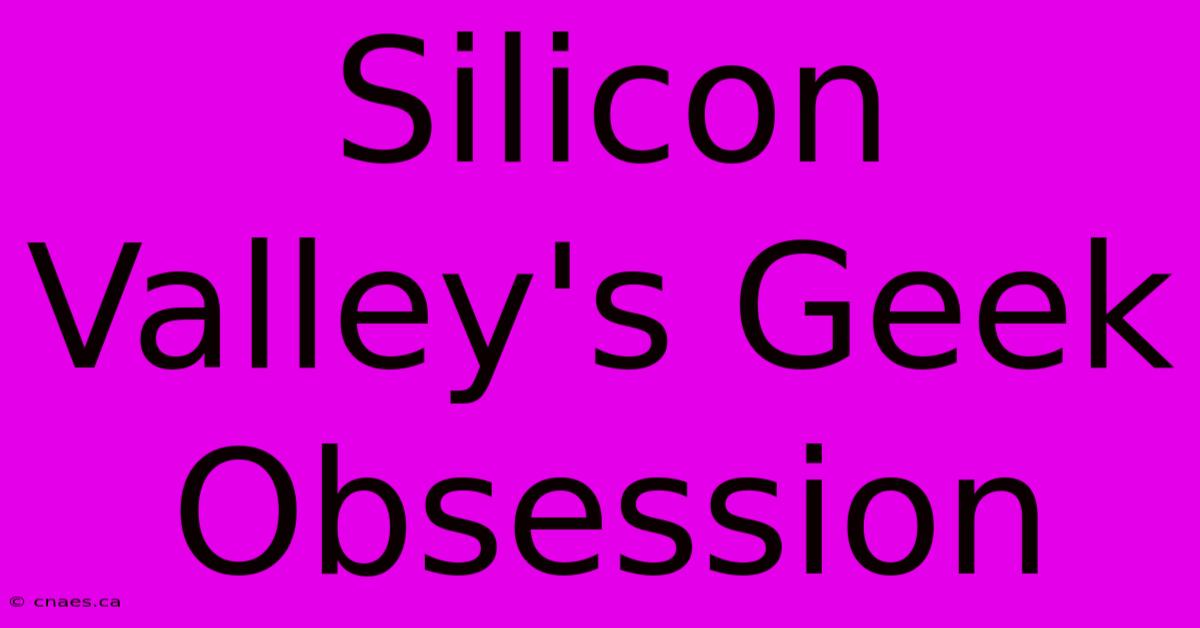 Silicon Valley's Geek Obsession