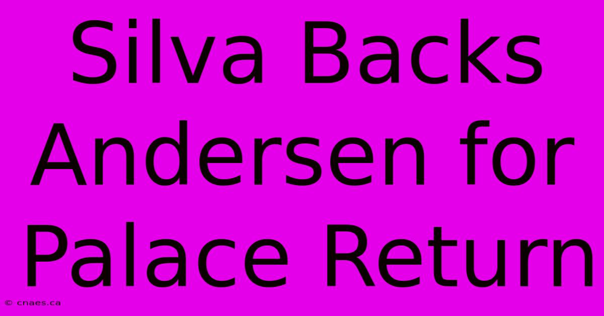 Silva Backs Andersen For Palace Return